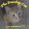 The Starship Cat